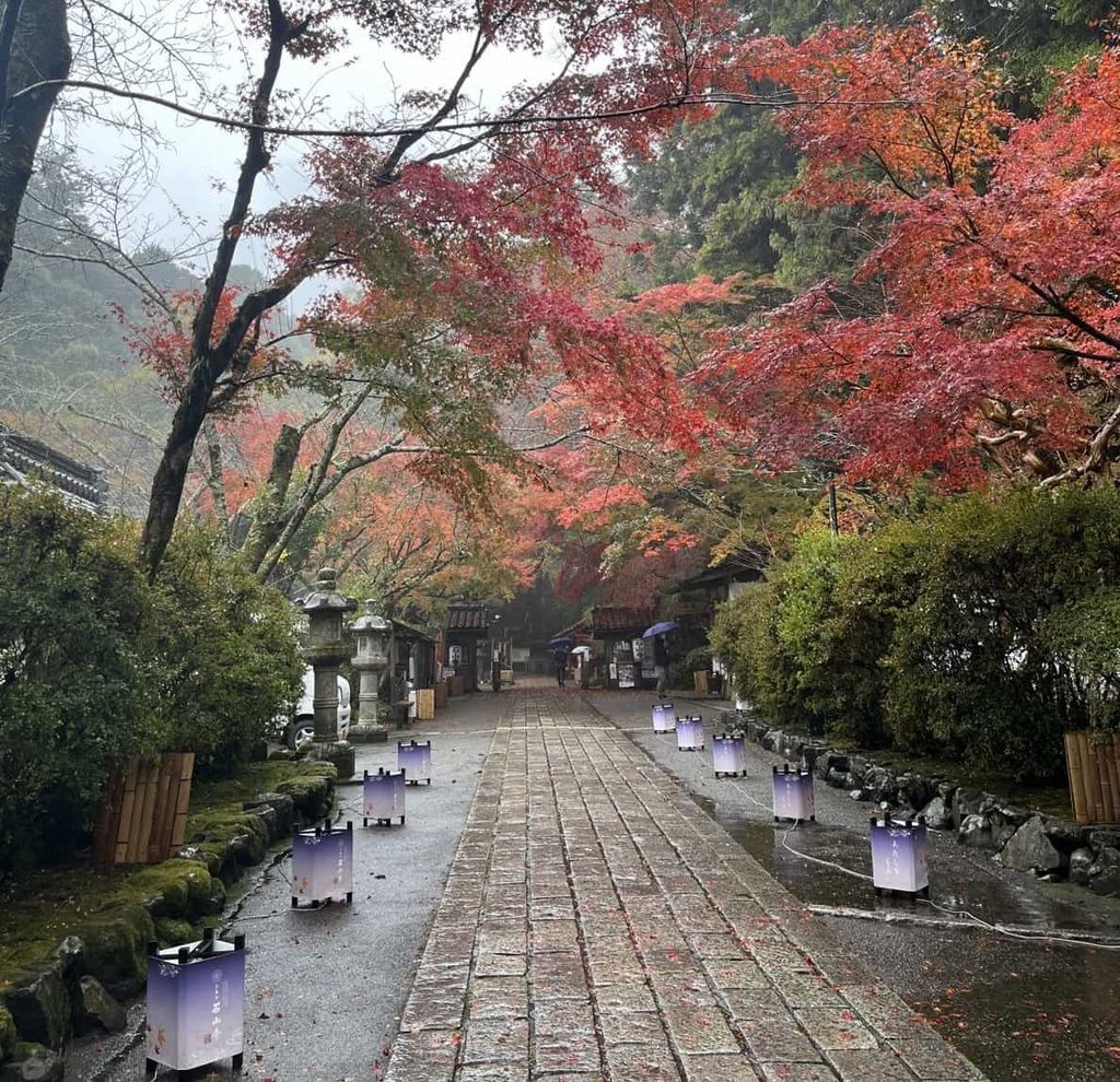 雨の日の石山寺の参道と紅葉